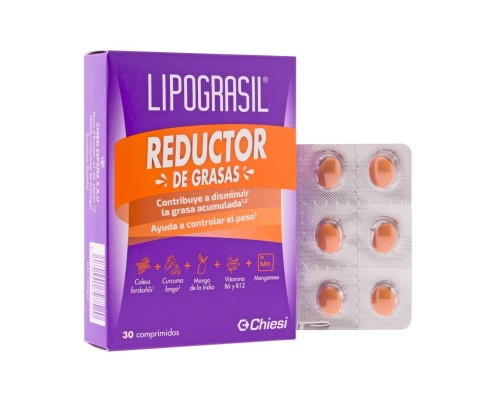 Lipograsil Reductor De...